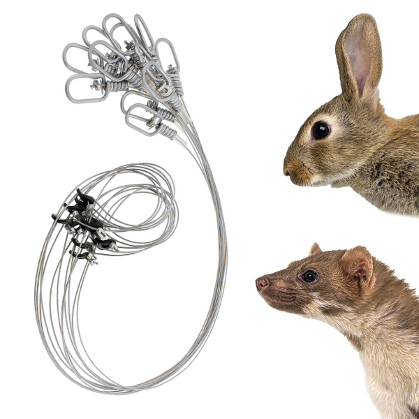 Mink & Rabbit Snare Wire Snare Trap 12pk – Rabbit Snare Traps – Small Game  Traps